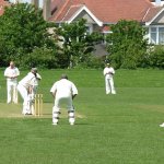cricket-1033415_1280