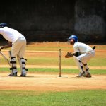 cricket-166930_1280
