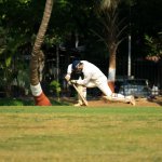 cricket-166933_1280