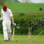 cricket-724616_1280